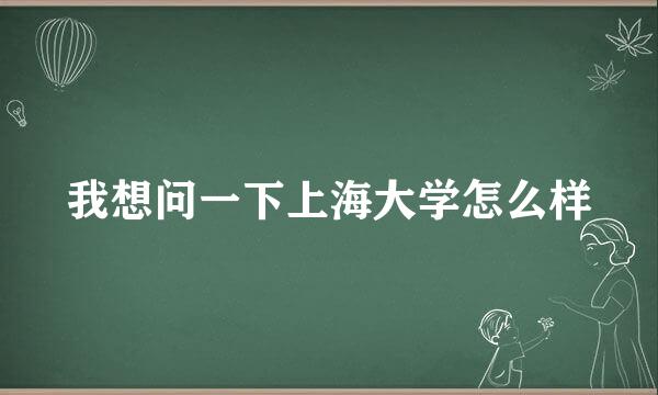 我想问一下上海大学怎么样