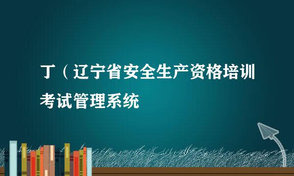 丁（辽宁省安全生产资格培训考试管理系统