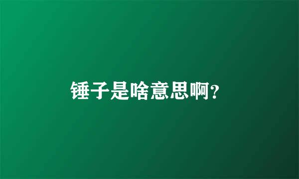 锤子是啥意思啊？