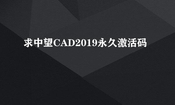 求中望CAD2019永久激活码