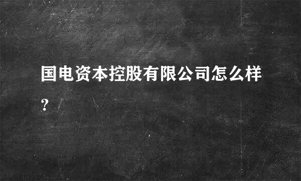 国电资本控股有限公司怎么样？