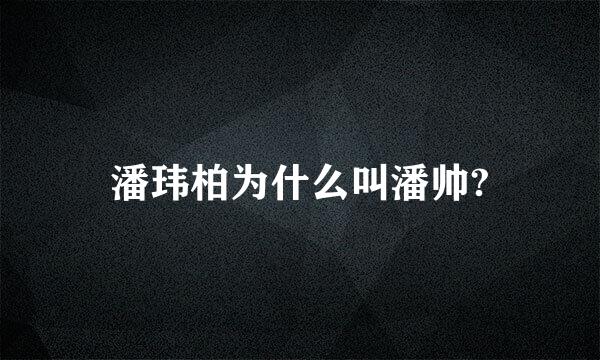 潘玮柏为什么叫潘帅?