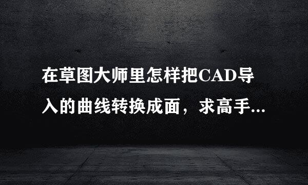 在草图大师里怎样把CAD导入的曲线转换成面，求高手支招啊，急死我了，有用的一定再加分，谢谢