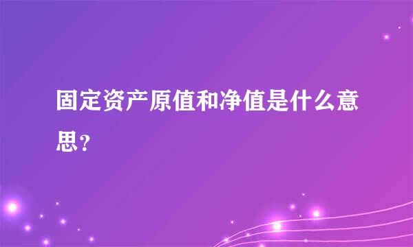 固定资产原值和净值是什么意思？