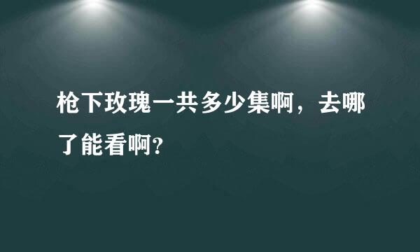 枪下玫瑰一共多少集啊，去哪了能看啊？