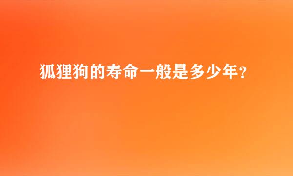 狐狸狗的寿命一般是多少年？