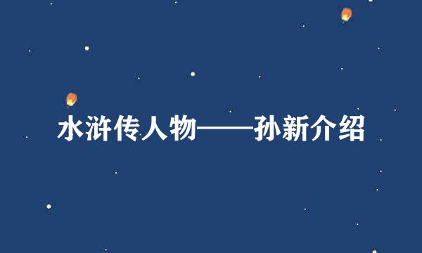 水浒传人物——孙新介绍