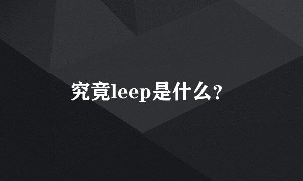 究竟leep是什么？