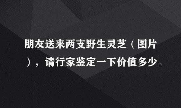 朋友送来两支野生灵芝（图片），请行家鉴定一下价值多少。