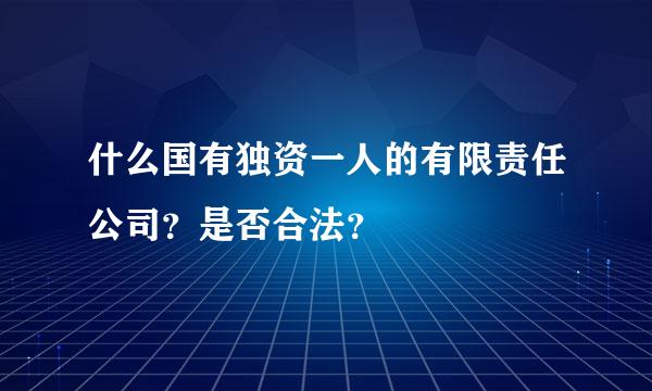 什么国有独资一人的有限责任公司？是否合法？