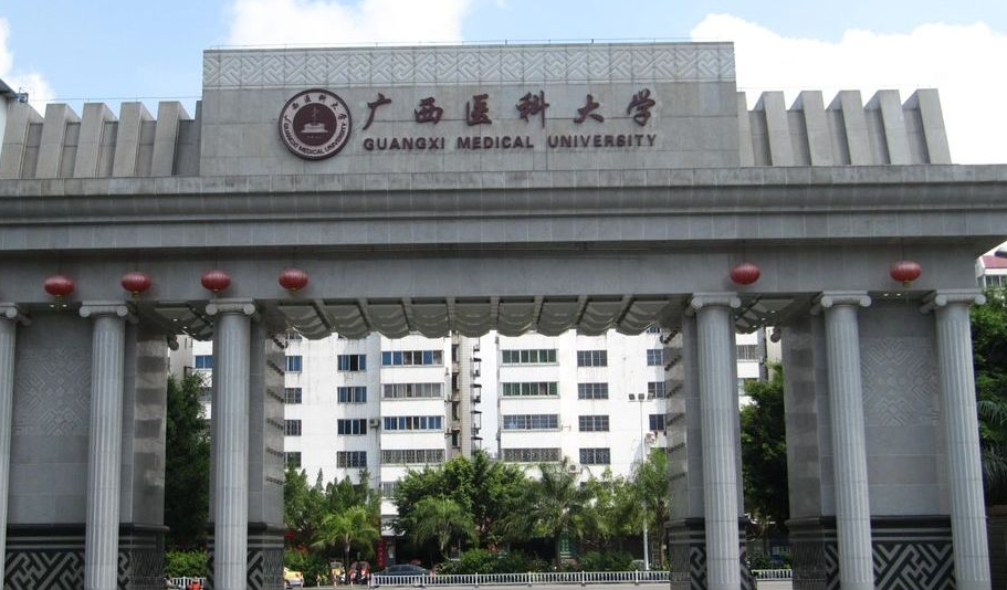 广西的大学有哪些