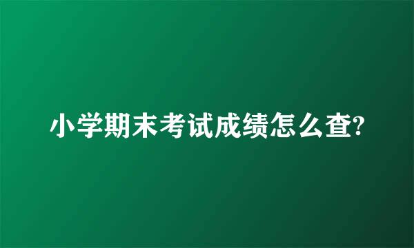 小学期末考试成绩怎么查?