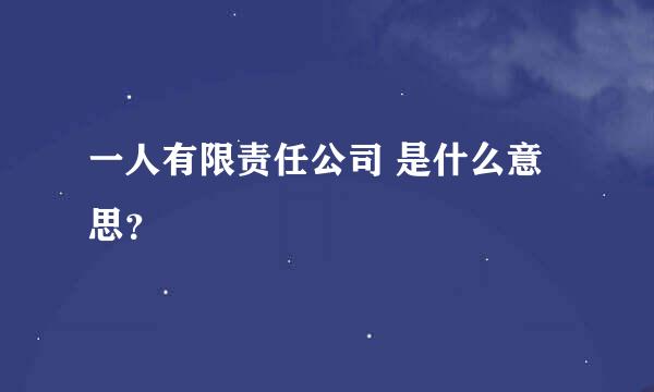 一人有限责任公司 是什么意思？