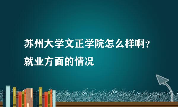 苏州大学文正学院怎么样啊？就业方面的情况