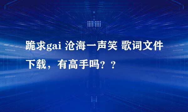 跪求gai 沧海一声笑 歌词文件下载，有高手吗？？