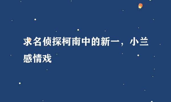 求名侦探柯南中的新一，小兰感情戏