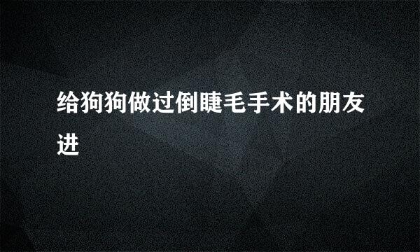 给狗狗做过倒睫毛手术的朋友进