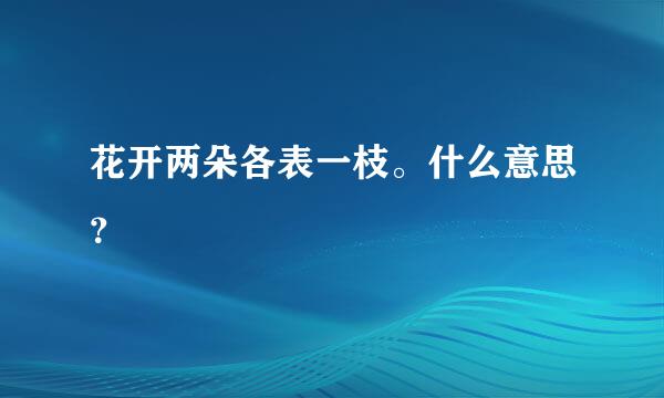 花开两朵各表一枝。什么意思？