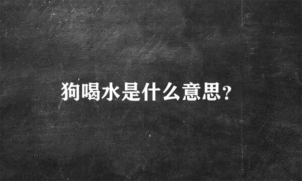 狗喝水是什么意思？