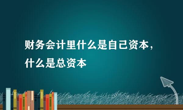 财务会计里什么是自己资本，什么是总资本