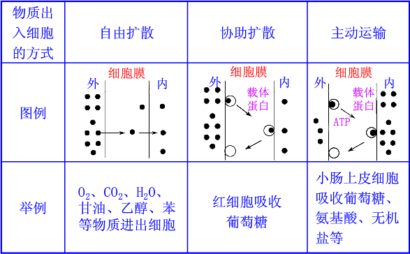 自由扩散，协助扩散和主动扩散的区别~