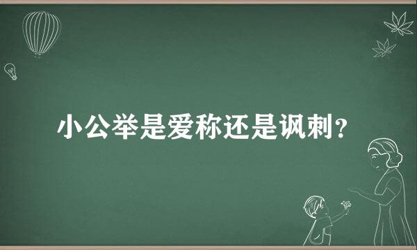 小公举是爱称还是讽刺？