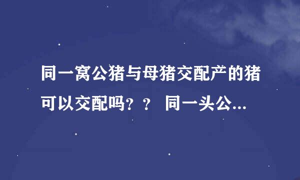 同一窝公猪与母猪交配产的猪可以交配吗？？ 同一头公猪交配的别的两头以上的猪猪可以交配吗