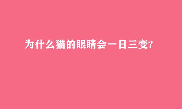 为什么猫的眼睛会一日三变?