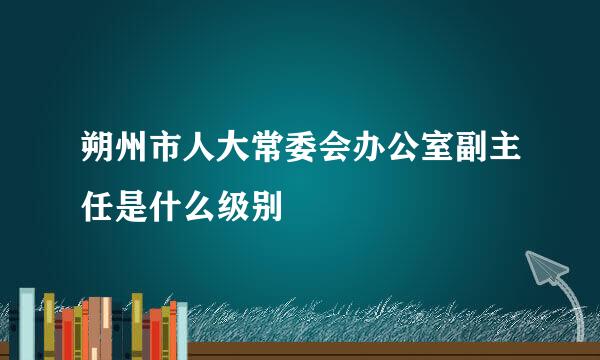 朔州市人大常委会办公室副主任是什么级别