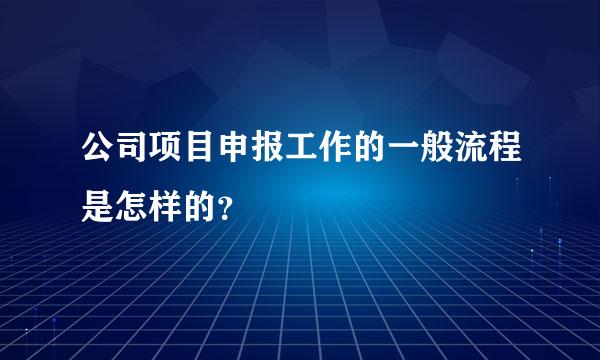 公司项目申报工作的一般流程是怎样的？