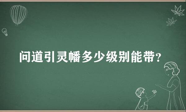 问道引灵幡多少级别能带？