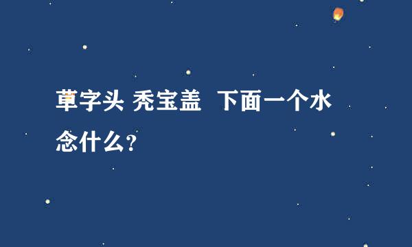 草字头 秃宝盖  下面一个水   念什么？