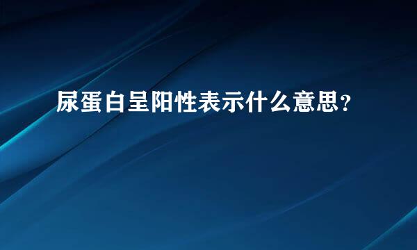 尿蛋白呈阳性表示什么意思？