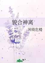 貌合神离by困倚危楼，求文