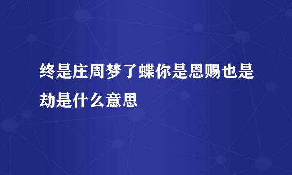 终是庄周梦了蝶你是恩赐也是劫是什么意思