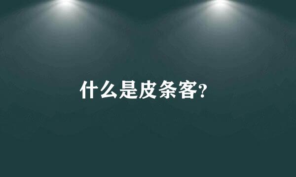 什么是皮条客？