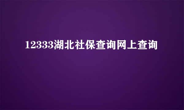 12333湖北社保查询网上查询