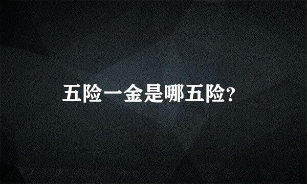 五险一金是哪五险？