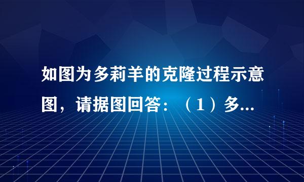 如图为多莉羊的克隆过程示意图，请据图回答：（1）多莉羊性状与______羊一致，因为该羊提供的 是______．