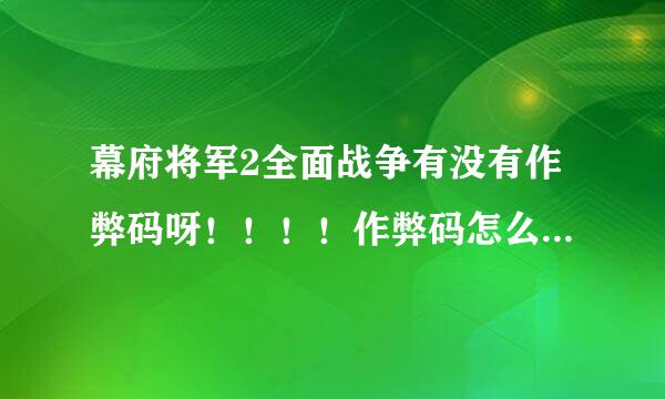 幕府将军2全面战争有没有作弊码呀！！！！作弊码怎么输入呀！！