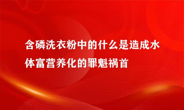 含磷洗衣粉中的什么是造成水体富营养化的罪魁祸首