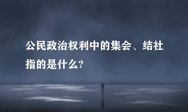 公民政治权利中的集会、结社指的是什么?