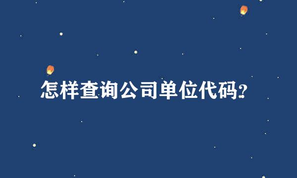 怎样查询公司单位代码？