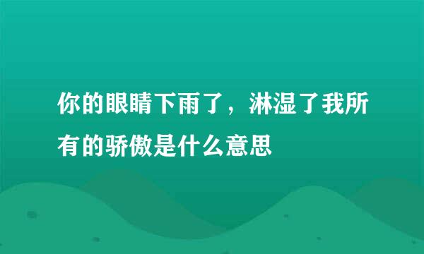 你的眼睛下雨了，淋湿了我所有的骄傲是什么意思