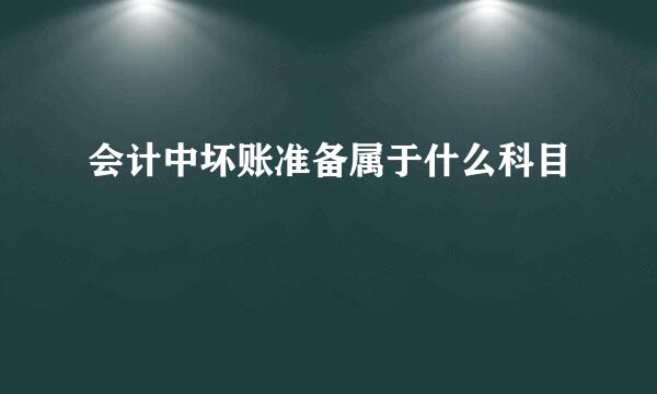 会计中坏账准备属于什么科目