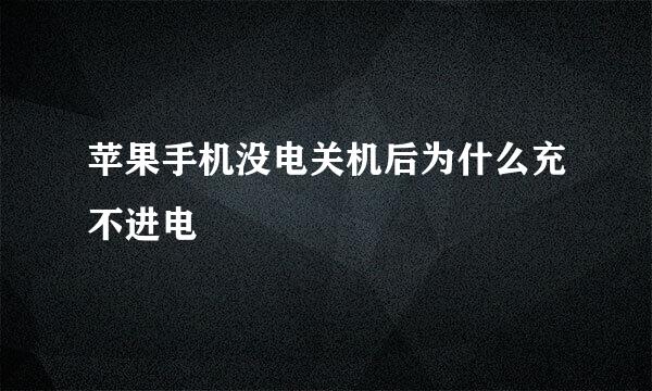 苹果手机没电关机后为什么充不进电