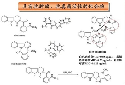 喹唑啉的介绍