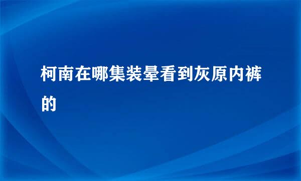 柯南在哪集装晕看到灰原内裤的