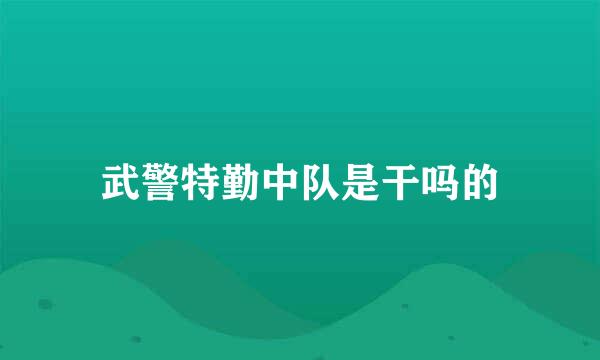 武警特勤中队是干吗的