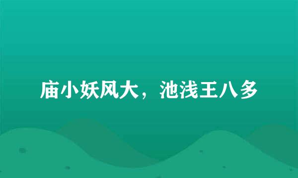 庙小妖风大，池浅王八多